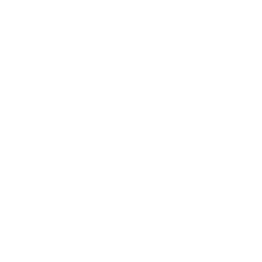 Premiers métiers